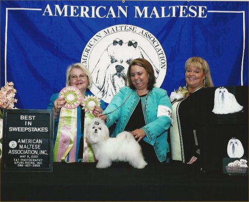 GCH Divine's Work Of Art, Leo, photo 2
