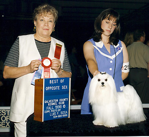 CH Divine's Magic Memory Of Didley ROM, Diddle