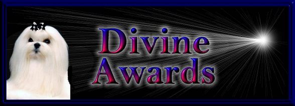 Divine Maltese awards banner
