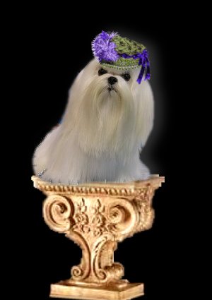 CH Divine Dreams Of Veranda Blossoms