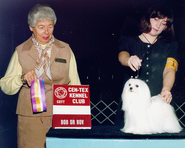 CH Rio Vista's Indecent Delight, Della