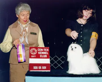 Della: Ch. Rio Vista's Indecent Delight