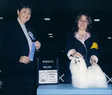 LuLu: Ch. Divine's Little LuLu I Love You