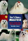 Maltese book cover