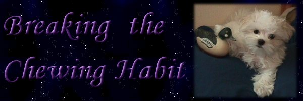 Breaking the chewing habit banner