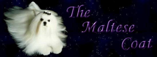 The Maltese coat banner