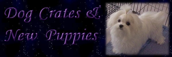 The dog crate and your new puppy banner