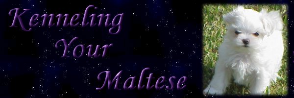 Why kennel your Maltese banner