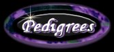 Divine Maltese pedigrees