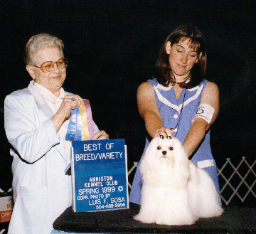 CH Divine's Good Golly Miss Molly ROM, Molly