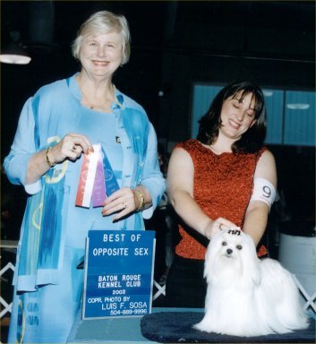 CH Divine's Best Of Friends, Thelma
